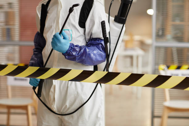 Professional Sewage Cleanup technician working in Salida, CO